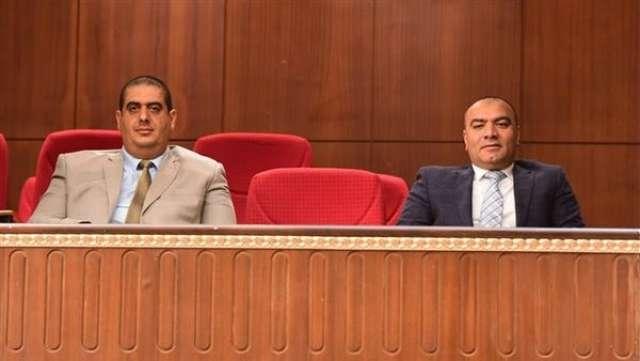 الوادي