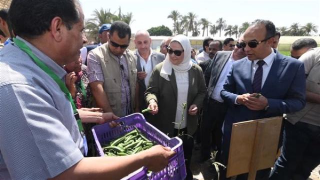الوادي