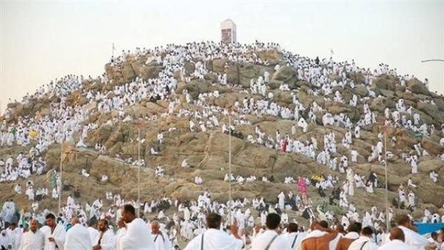 الوادي