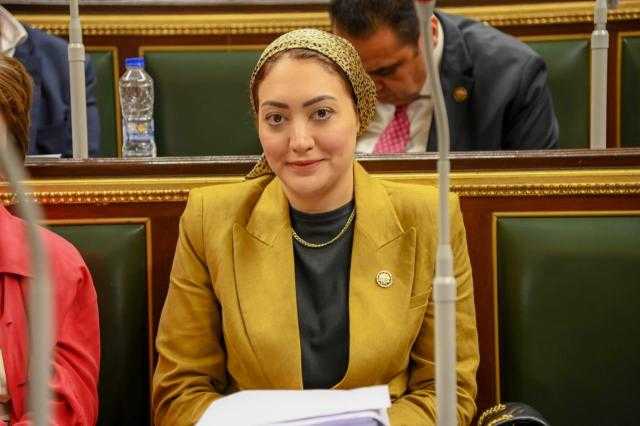 النائبة أسماء الجمال: إعلان الحكومة توقف الحصول على القروض يواجه التضخم