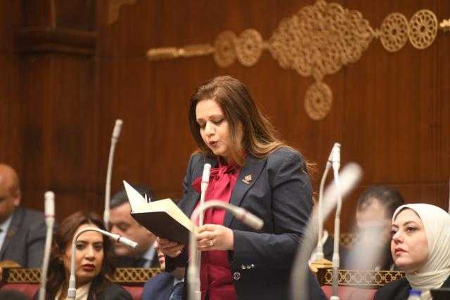 هيام فاروق ”نائبة التنسيقية”: تطالب بإطلاق مبادرة قومية للتوعية السياحية