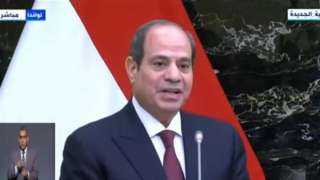 الرئيس السيسى: 200 ألف سودانى نزحوا إلى مصر خلال الأسابيع الأخيرة