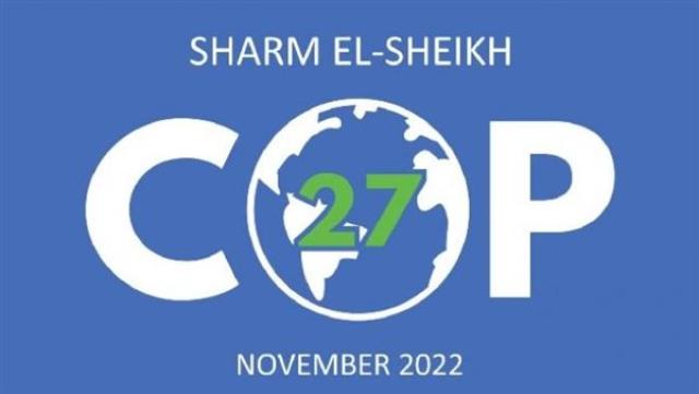 الوادي