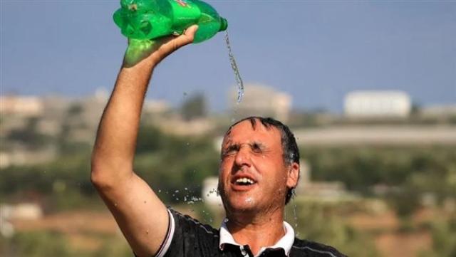 الوادي