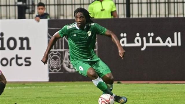 الوادي