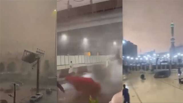 الوادي