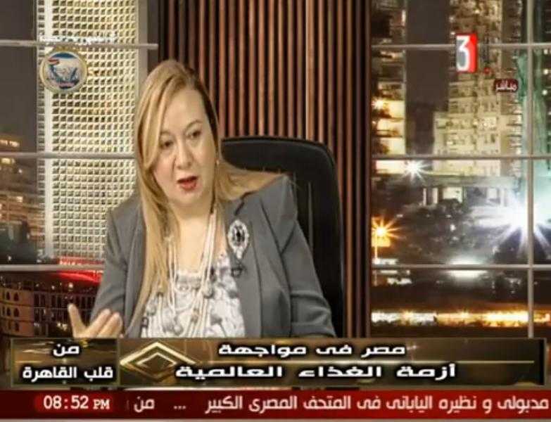 ا.د منال محمود خيري تكتب: الاقتصاد المصري والحرب في قطاع غزة واهمية قمة السلام