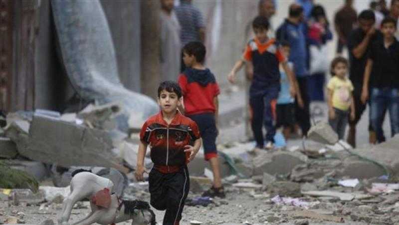 قزمار لـ”القاهرة الإخبارية”: أكثر من 3000 طفل مفقود تحت الأنقاض بغزة