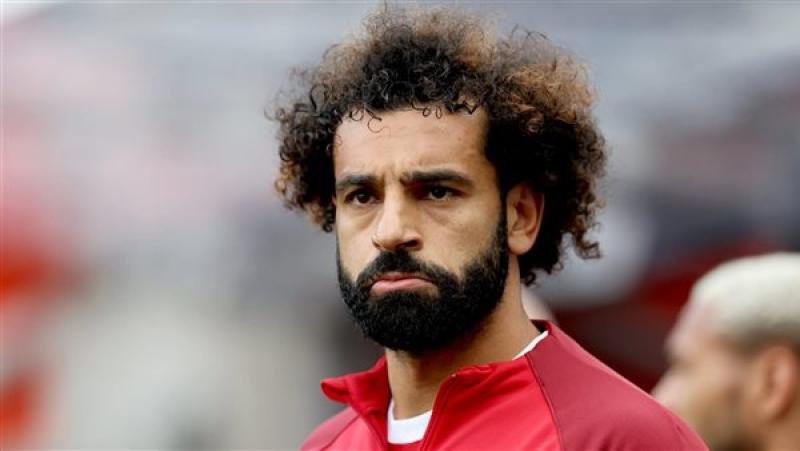 الوادي