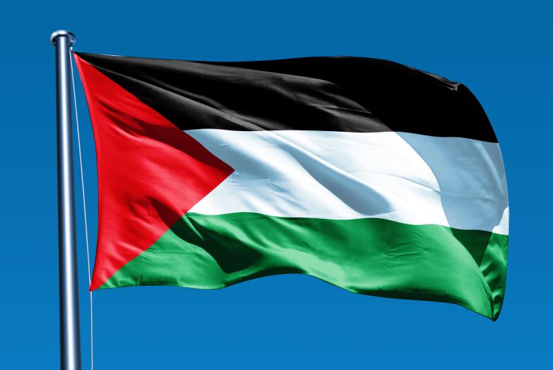 الوادي