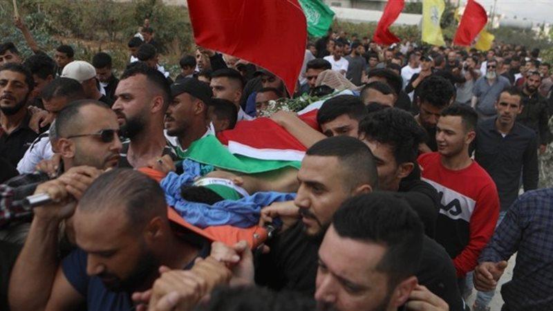 الوادي