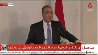 وزير الخارجية يؤكد ضرورة تنفيذ وقف فوري لإطلاق النار في غزة