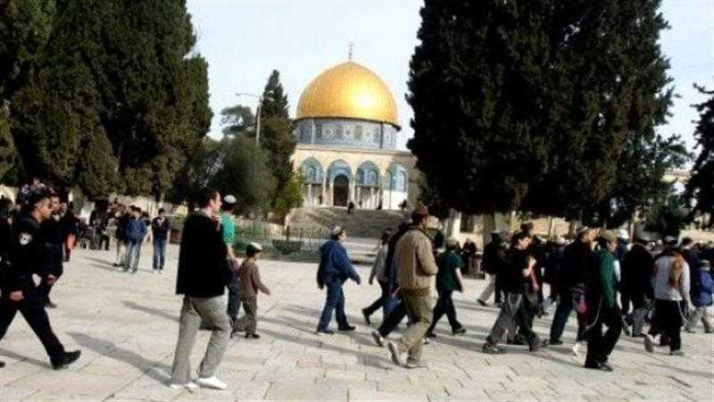 تنفيذ 63 عملًا مقاومًا بالضفة والقدس خلال أسبوع