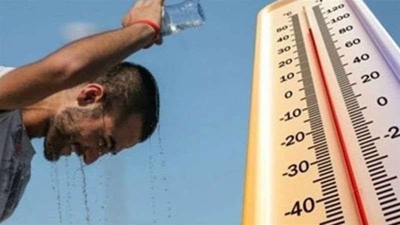 الوادي