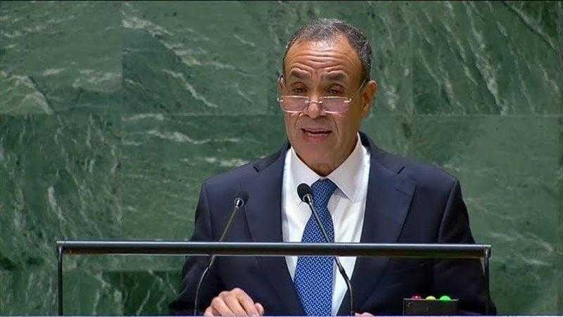 باحث علاقات دولية: كلمة مصر بالأمم المتحدة أعادت التأكيد على ثوابتها تجاه فلسطين