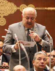 النائب عمرو أبو السعود: المتحف المصري الكبير بوابة الحضارة المصرية نحو المستقبل