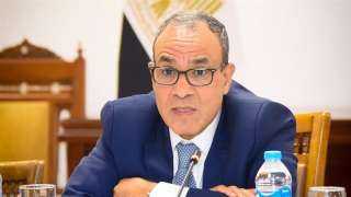 مصر تؤكد الرفض الكامل للمساس بسيادة لبنان ووحدة وسلامة أراضيه