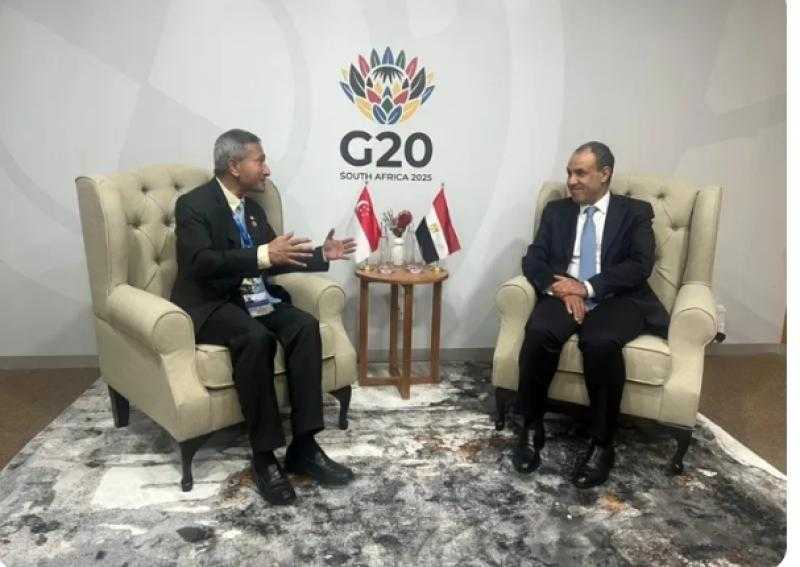 مصر تُجدد دعمها لسيادة لبنان.. وتدعو سنغافورة لتعزيز استثماراتها في قناة السويس