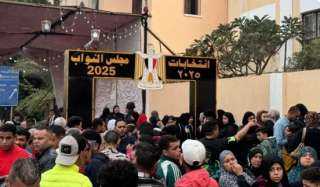 انتخابات النواب المصري.. إقبال متزايد في اليوم الختامي للمرحلة الثانية