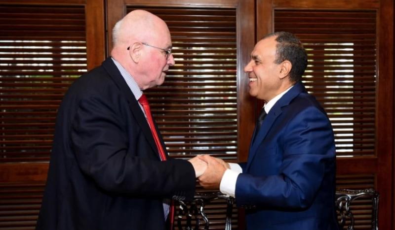 مصر تؤكد التزامها بدعم غزة وتسوية عادلة للقضية الفلسطينية