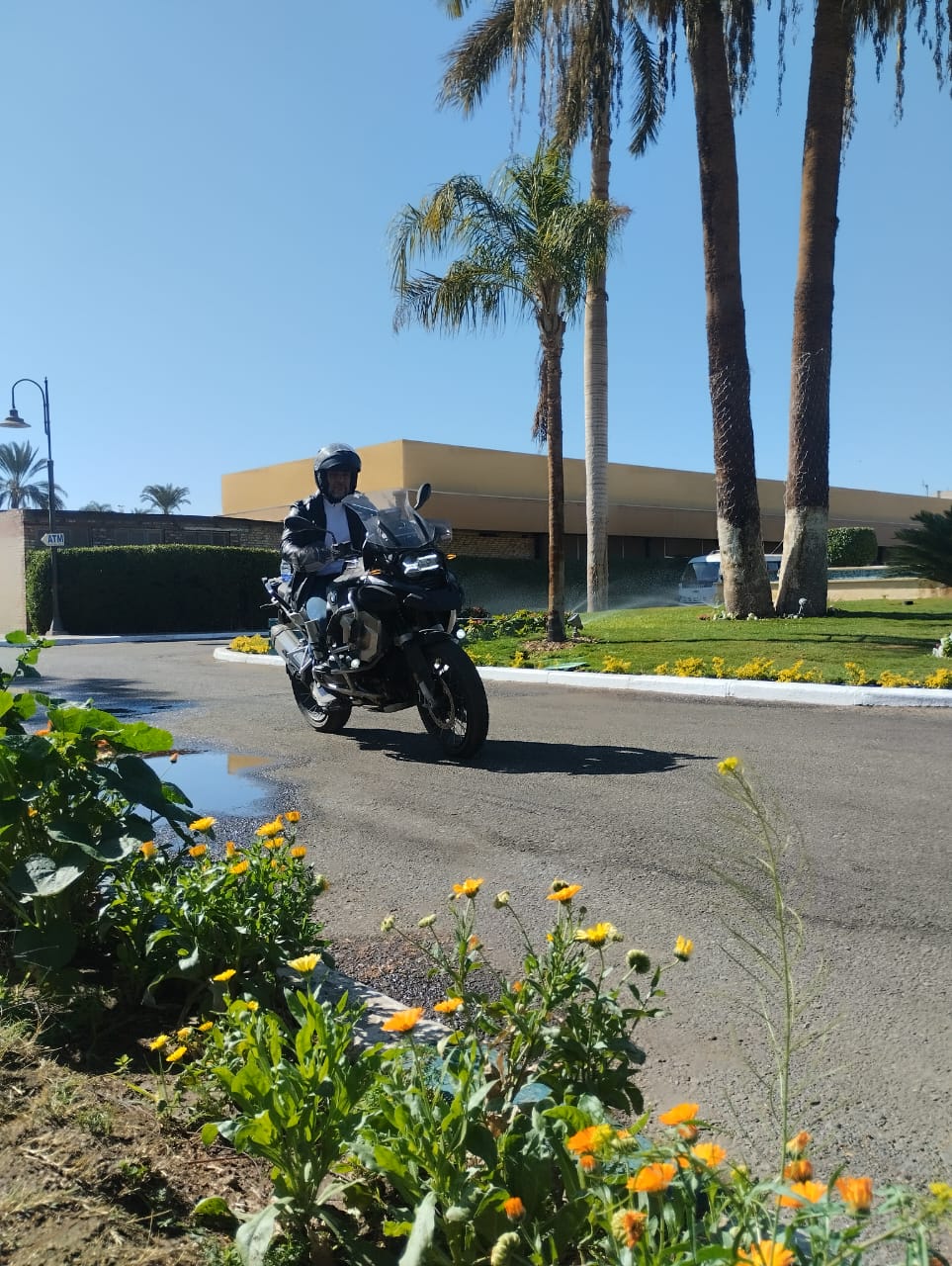 ca81399b9749.jpg